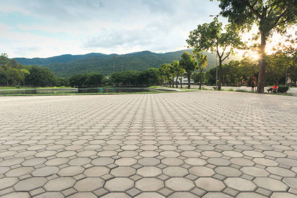 Best Driveway Pavers Near Me  in Belle Meade, TN