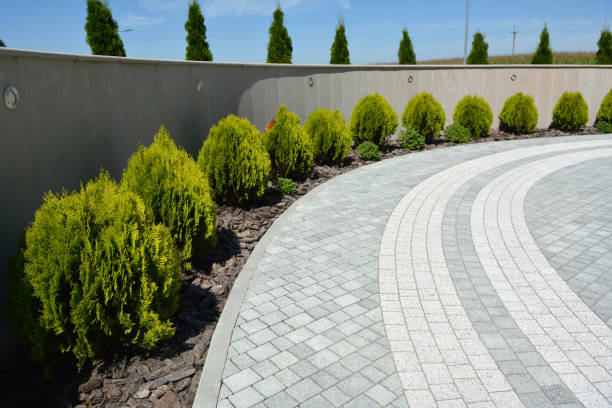 Best Driveway Repair Near Me  in Belle Meade, TN